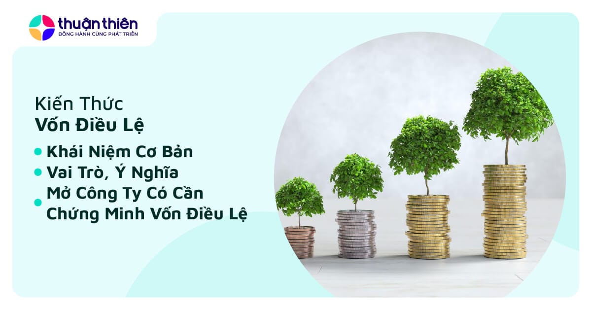 Vốn Điều Lệ Là Gì? Có Cần Chứng Minh Vốn Điều Lệ Khi Thành Lập Công Ty?