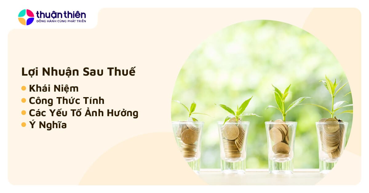 Lợi Nhuận Sau Thuế, Cách Tính Lợi Nhuận Sau Thuế Chi Tiết Nhất Cho Doanh Nghiệp