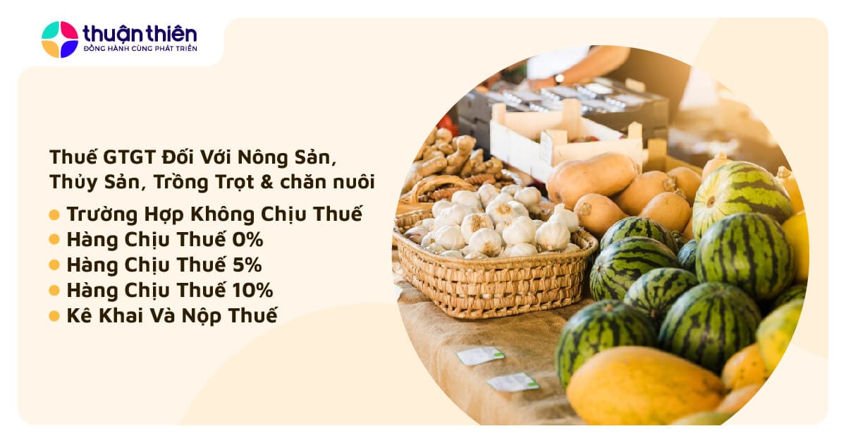 Thuế GTGT nông sản 2026: Hướng dẫn chi tiết 3 cơ chế mới và cách kê khai