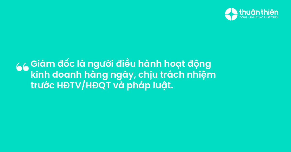 Giám đốc là người điều hành hoạt động kinh doanh hàng ngày, chịu trách nhiệm trước HĐTVHĐQT và pháp luật.