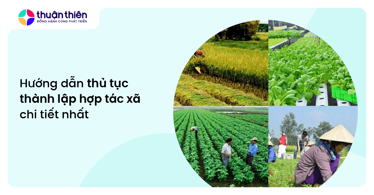 Hướng dẫn thủ tục thành lập hợp tác xã chi tiết nhất